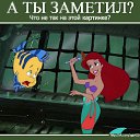 ���� �������, ������, 37 ��� - ��������� 9 ������ 2014 � ������ ������ ��������