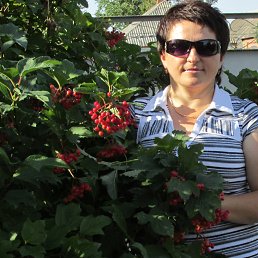 ���� �������, ��������, 53 ���� - ��������� 20 ���� 2014