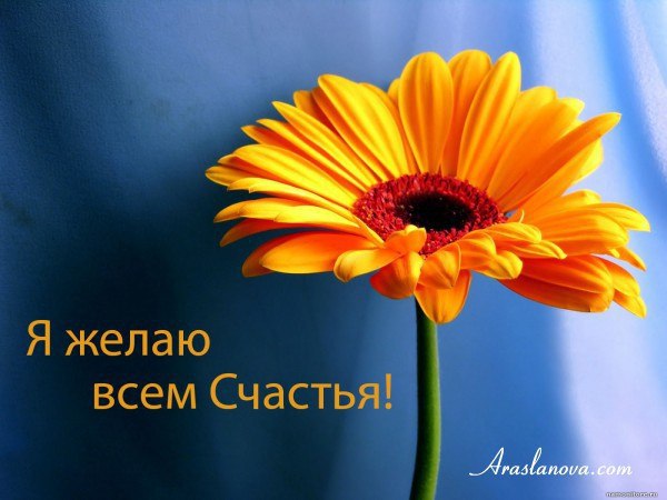 Все счастья хотят, но какое оно? Увы, это знать лишь немногим дано. Счастье - проснувшись, увидеть ...