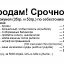 ���� ��������, ����, 67 ��� - ��������� 13 ������� 2014 � ������ ������ ��������