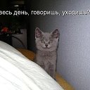 ���� ����, ������ - ��������� 10 ������ 2014 � ������ ���� ����������