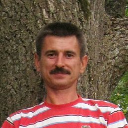 ����, ��������