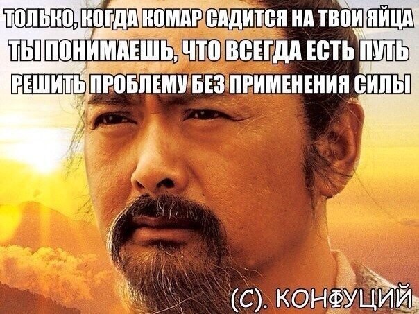 Кисуня - 31 мая 2014 в 04:04