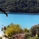  Necip, , 44  -  16  2014    2014