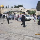 ���� ������, ������, 61 ��� - ��������� 10 ���� 2014 � ������ �������� ��� 2014 ����