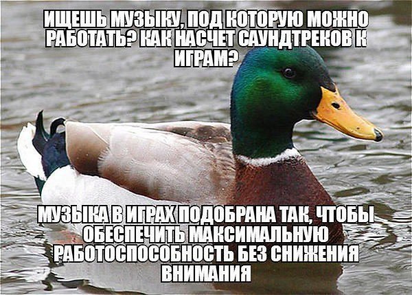    - 23  2014  00:41