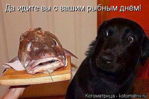 Alex Linadherent - 17  2014  14:19