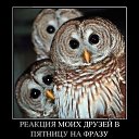 ���� �������, �������, 47 ��� - ��������� 3 ���� 2014 � ������ ���� ����������
