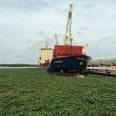 ���� ��������, �����-���������, 65 ��� - ��������� 16 ���� 2014 � ������ �� �������