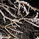 ���� �����, ������ - ��������� 24 ��� 2014 � ������ ������ ��������