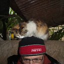 ���� ��������, ����, 51 ��� - ��������� 28 ����� 2014 � ������ ���� ����������