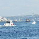 ���� �����, ���� - ��������� 7 ������� 2014