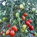 ���� �������, ������� - ��������� 12 ������� 2014 � ������ ����� ��� ������������