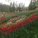 ���� ���������, ����, 53 ���� - ��������� 20 ������ 2014 � ������ ��������� ��������� ����-2014�