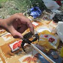 ���� �������, �����������, 53 ���� - ��������� 29 ���� 2014 � ������ ����