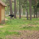 ���� ���������, ������, 38 ��� - ��������� 26 ��� 2014 � ������ ������������ ����