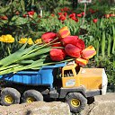  Ww, --, 75  -  14  2014   