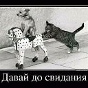 ���� �����, ������������, 43 ���� - ��������� 2 ���� 2014 � ������ ������ ��������