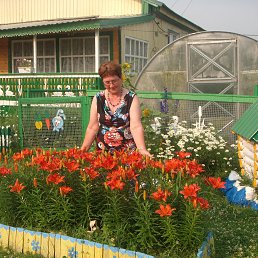 ������ ����. 2013 �.