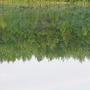 ���� �����, ������ �������� - ��������� 23 ����� 2014 � ������ �������� ������� ��������