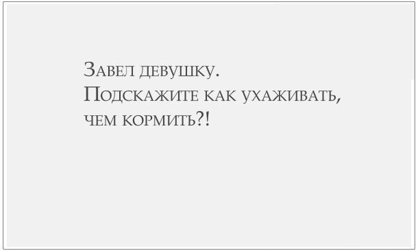 SportFeed - 18  2014  03:59