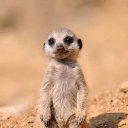  Ira, , 38  -  30  2014    