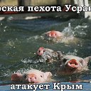  ,  -  27  2014    
