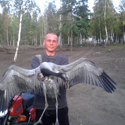 Pavel, 40, -