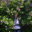 ���� ���������, ���� - ��������� 5 ��� 2014 � ������ ������ 2014�