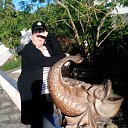  , -, 62  -  14  2014   ,