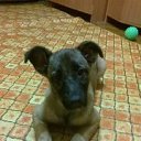 ���� �����, �����-�������� - ��������� 9 ������� 2014 � ������ �����