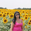 ���� �������, ��������� - ��������� 12 ������� 2014 � ������ �� ����� ����)�