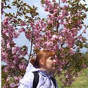 ���� ������, ������-��-����, 55 ��� - ��������� 28 ��� 2014