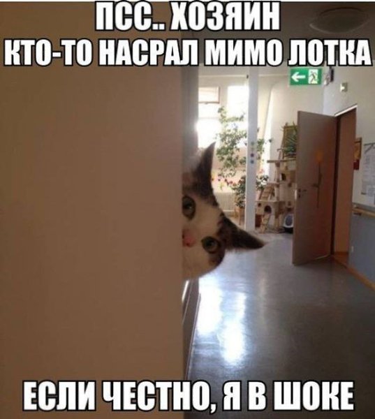   : fotostrana.ru/public/232203 ;-)