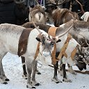 ��������� �������.