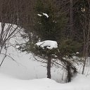 ���� ��������, ��������, 57 ��� - ��������� 24 ����� 2014 � ������ ������� ���2014�