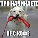 ���� �������, ��������� - ��������� 17 ����� 2014 � ������ ������ ��������