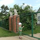  Irulia, , 38  -  15  2014   ja