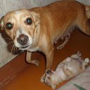 ���� Sasha, ��������, 37 ��� - ��������� 17 ��� 2014 � ������ ���� ����������