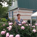 ���� ��������, ������ ��������, 68 ��� - ��������� 11 ���� 2014 � ������ ���� ����������