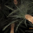 ���� ����������, ������, 58 ��� - ��������� 29 ���� 2014 � ������ ���