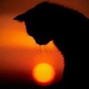 ���� ������, ���������, 46 ��� - ��������� 12 ���� 2014 � ������ ������ ��������