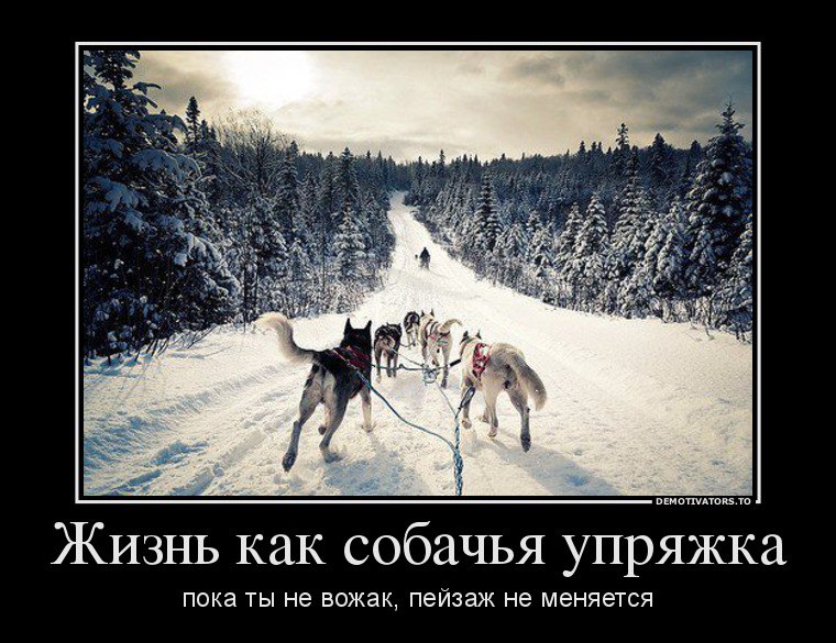 Максим Улан-удэ - 17 апреля 2014 в 06:09