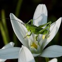 ���������� �� ���))) 26.05.2014 �� ������� ������� ��������)))�