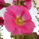  ,  -  26  2014     .