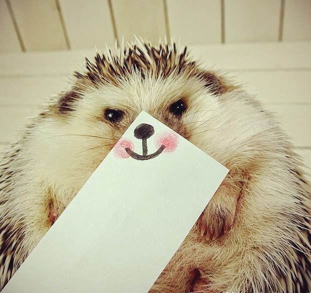  !:)