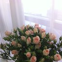 ���� �����, ���� - ��������� 30 ����� 2014 � ������ ������ ��������