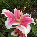  , , 64  -  22  2014    .