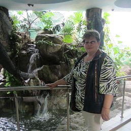 ���� �����, ���������, 67 ��� - ��������� 28 ���� 2014