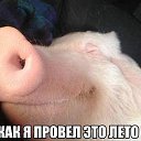 ���� �������, ����� - ��������� 22 ������� 2014 � ������ ������ ��������